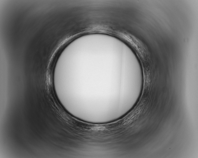 X0000096181462200802081450