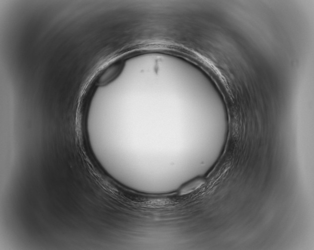 X0000096181464200802081450