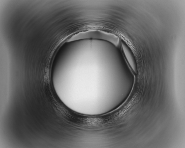 X0000096181465200802081450