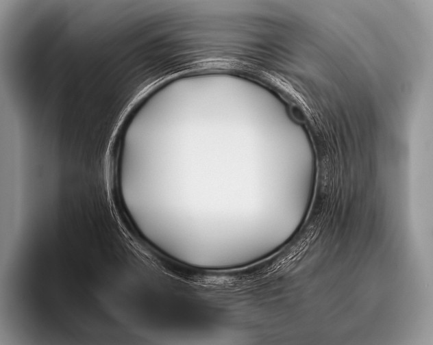 X0000096181467200802081450