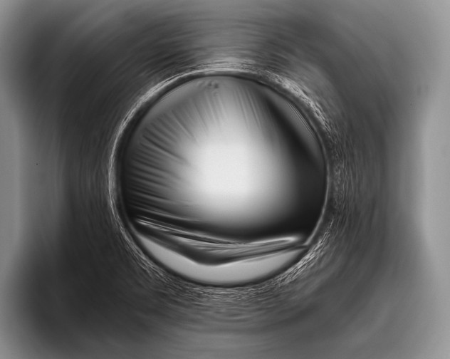 X0000096181469200802081449