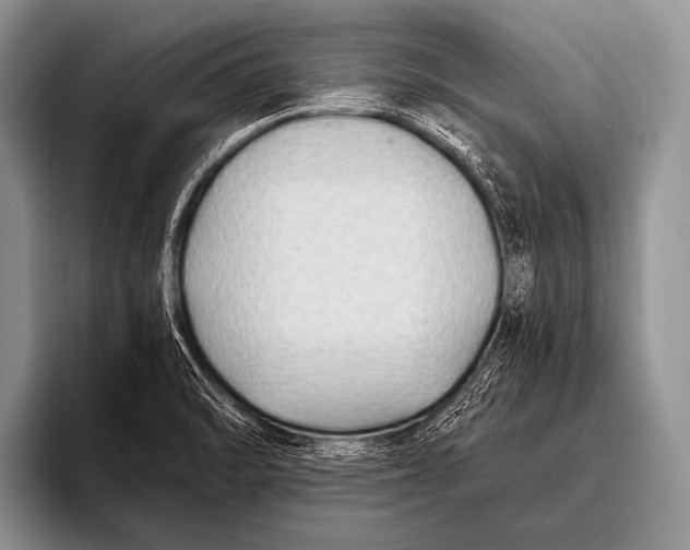 X0000096181470200802081449
