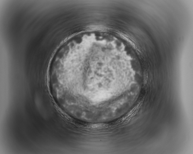 X0000096181471200802081449