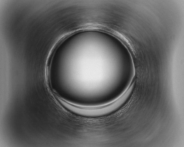 X0000096181472200802081449