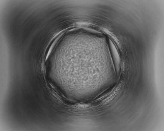 X0000096181473200802081449