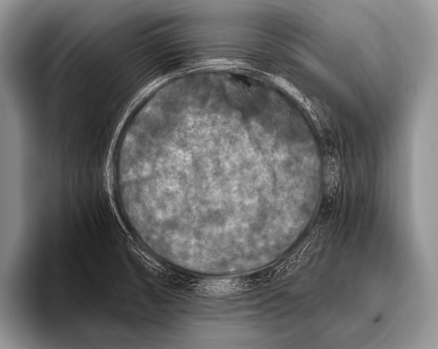 X0000096181474200802081449