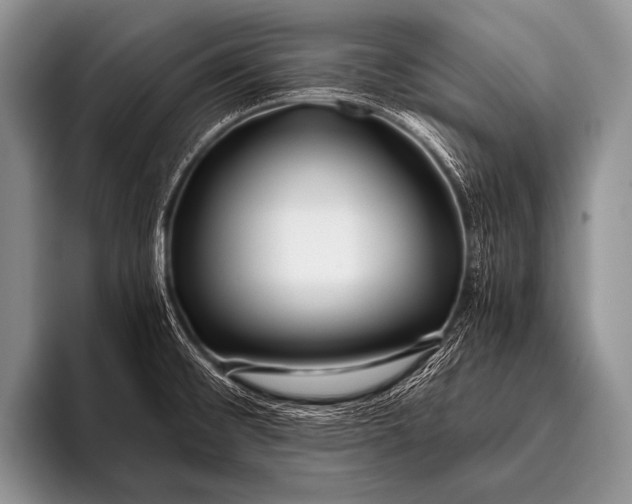 X0000096181476200802081449