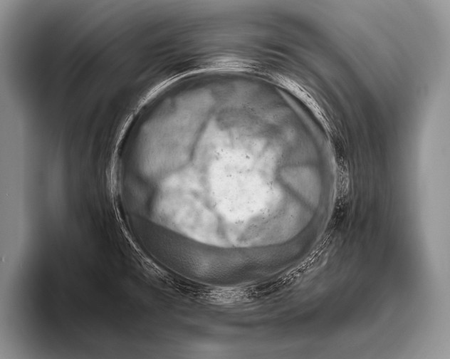 X0000096181477200802081449