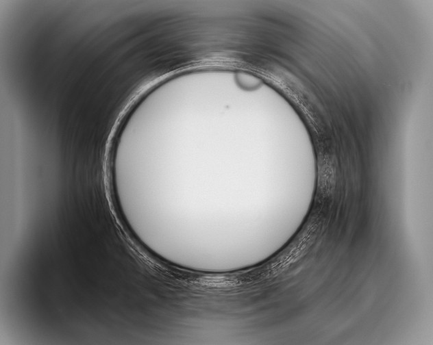 X0000096181478200802081449