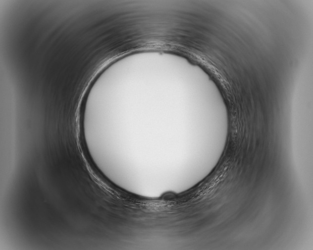 X0000096181479200802081449