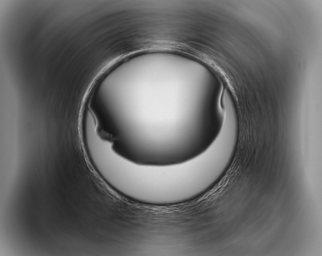 X0000096181480200802081449