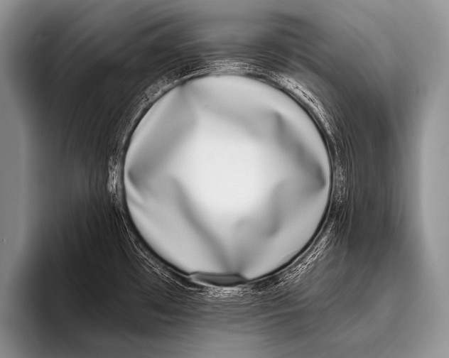 X0000096181481200802081449