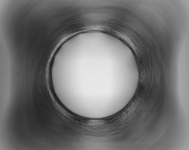 X0000096181483200802081449