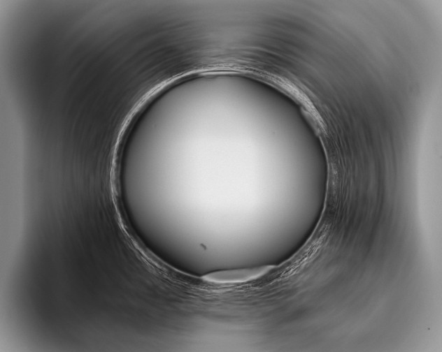 X0000096181485200802081449