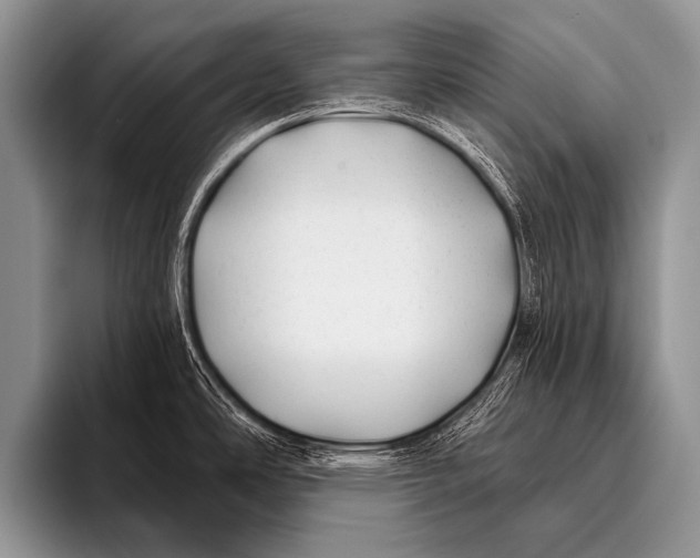X0000096181486200802081449