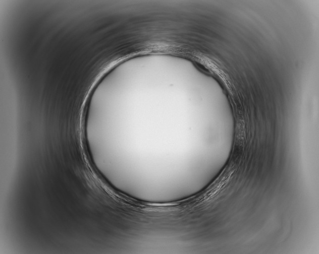X0000096181487200802081449