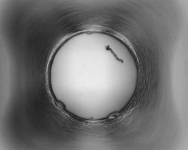 X0000096181488200802081449