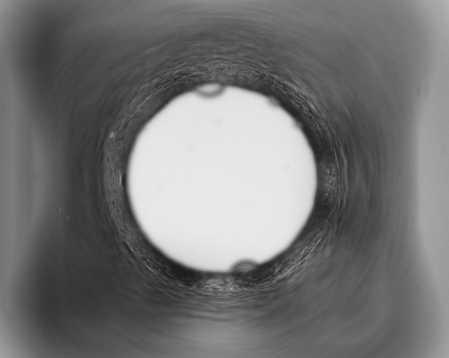 X0000096181489200802081449