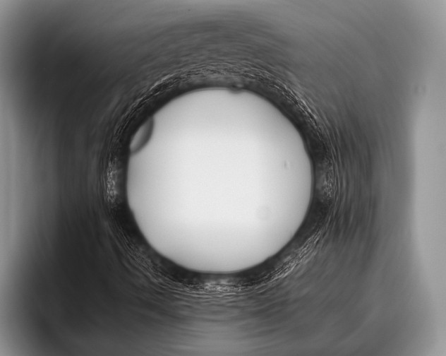 X0000096181490200802081449