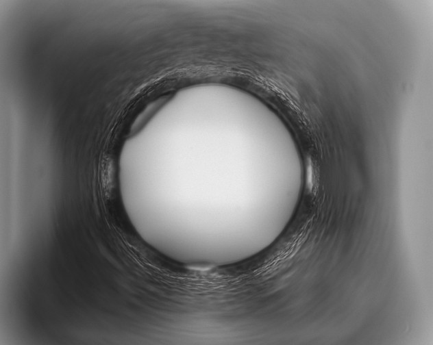 X0000096181492200802081449