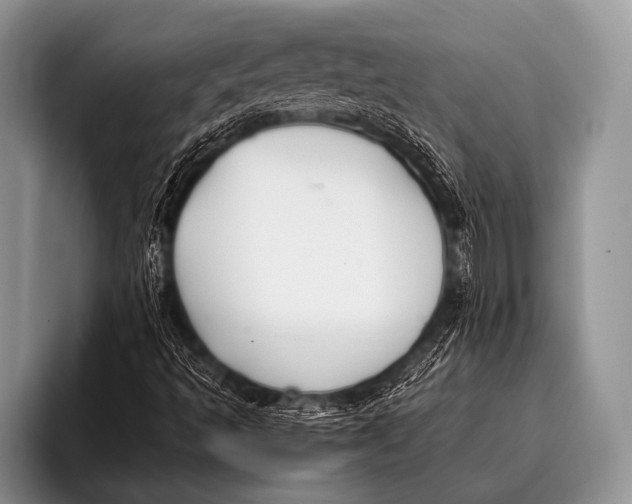 X0000096181493200802081449
