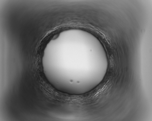 X0000096181494200802081449