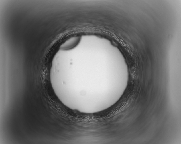 X0000096181495200802081449