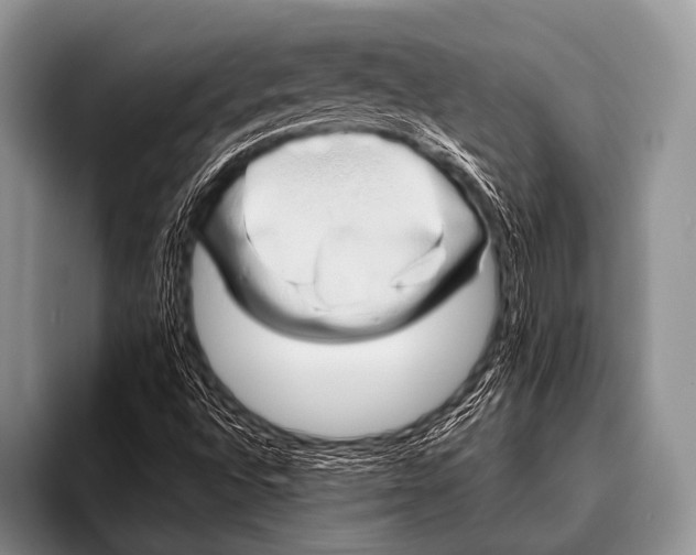 X0000096181496200802081449