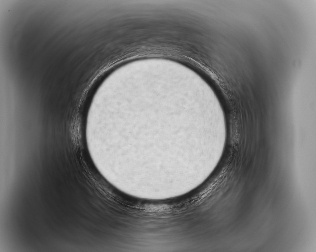 X0000096181498200802081449