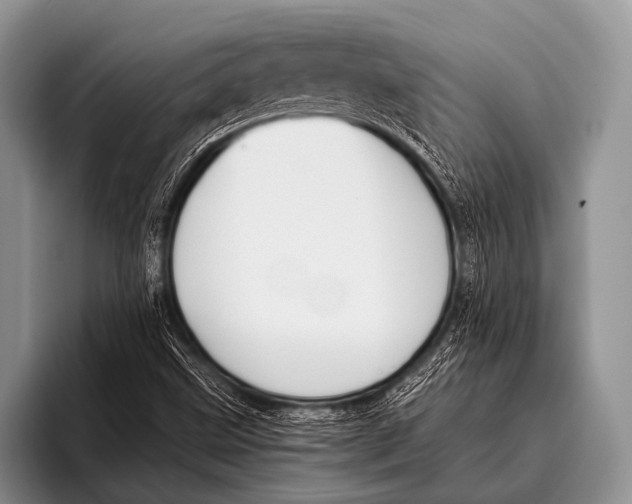 X0000096181499200802081449