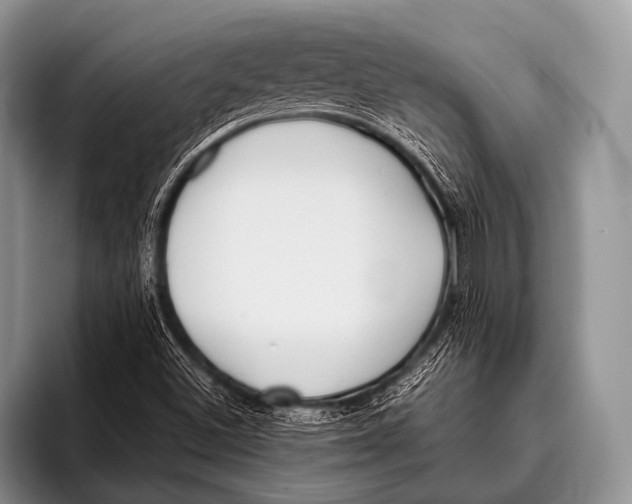 X0000096181500200802081449