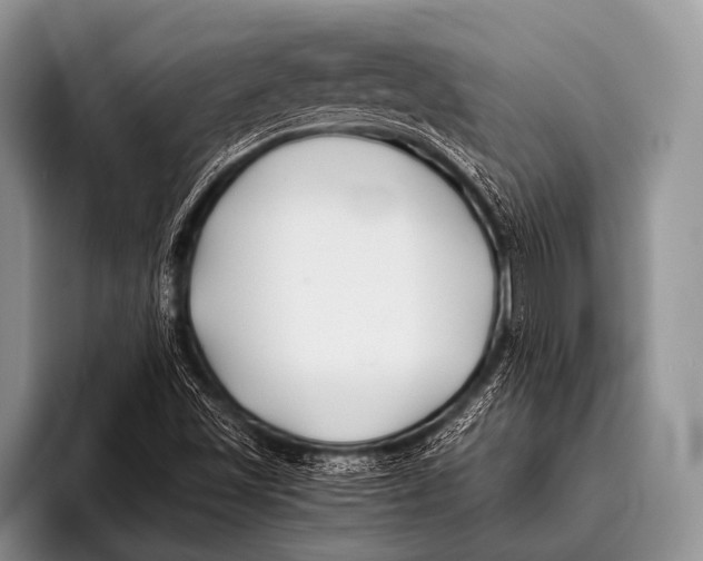 X0000096181501200802081449