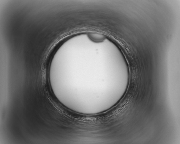 X0000096181503200802081449