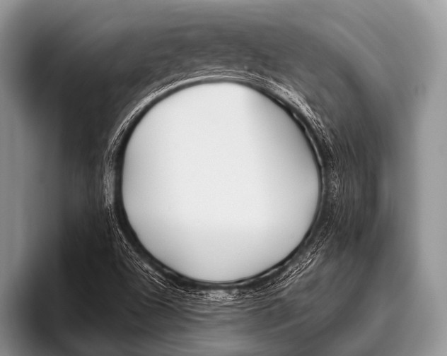 X0000096181504200802081449