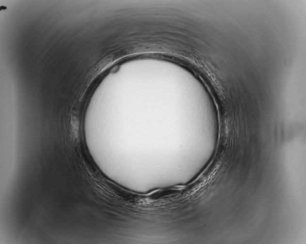 X0000096181505200802081449