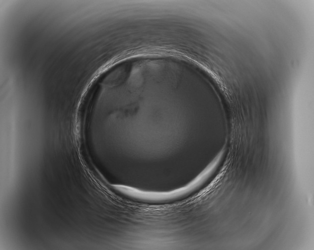 X0000096181506200802081449
