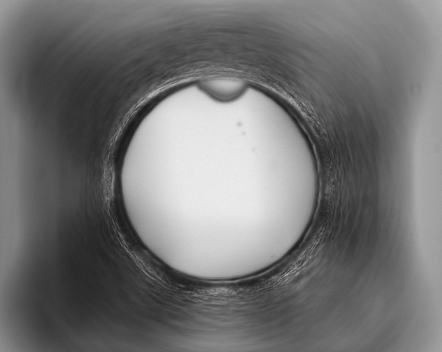 X0000096181507200802081449
