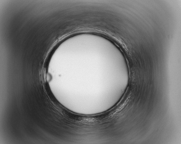 X0000096181509200802081449