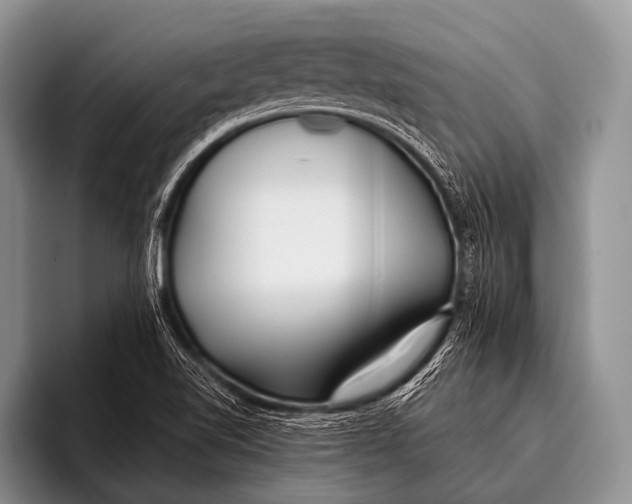 X0000096181510200802081449