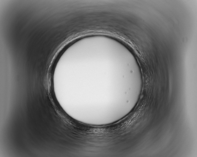 X0000096181511200802081449