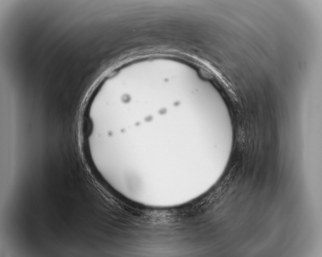 X0000096181512200802081449