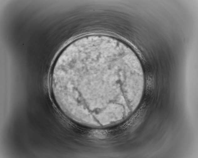 X0000096181514200802081449