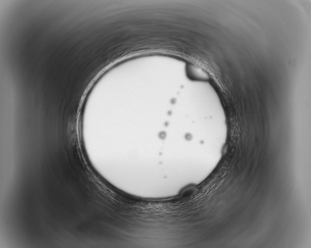 X0000096181516200802081449