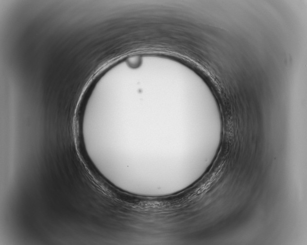 X0000096181517200802081449