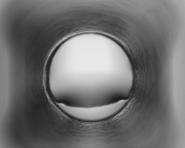 X0000096181518200802081449
