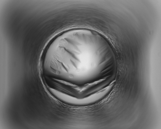 X0000096181519200802081449