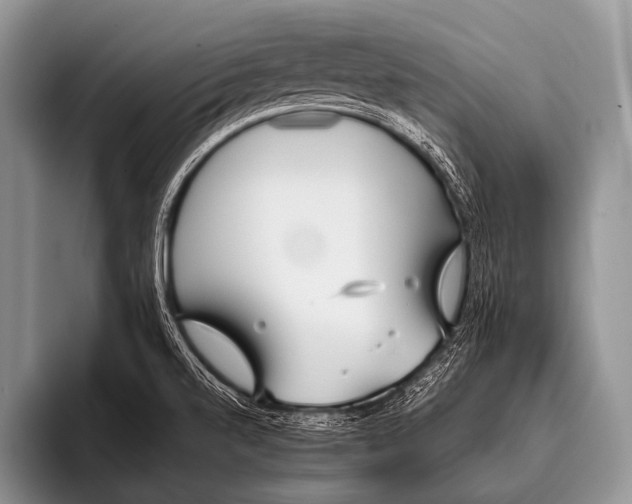 X0000096181520200802081449