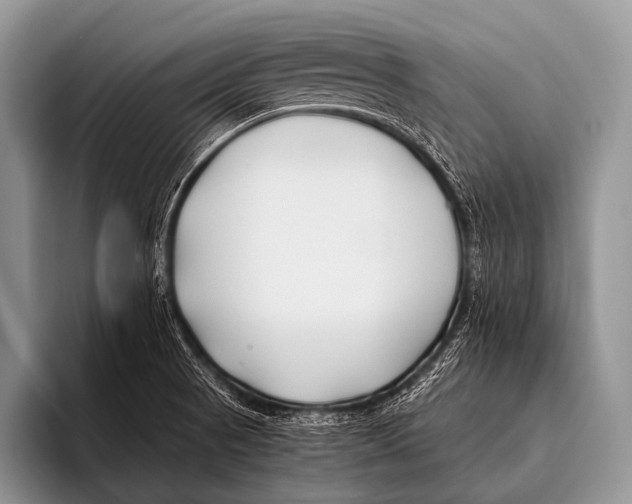 X0000096181521200802081449