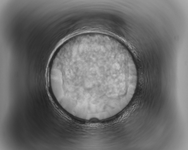 X0000096181522200802081449