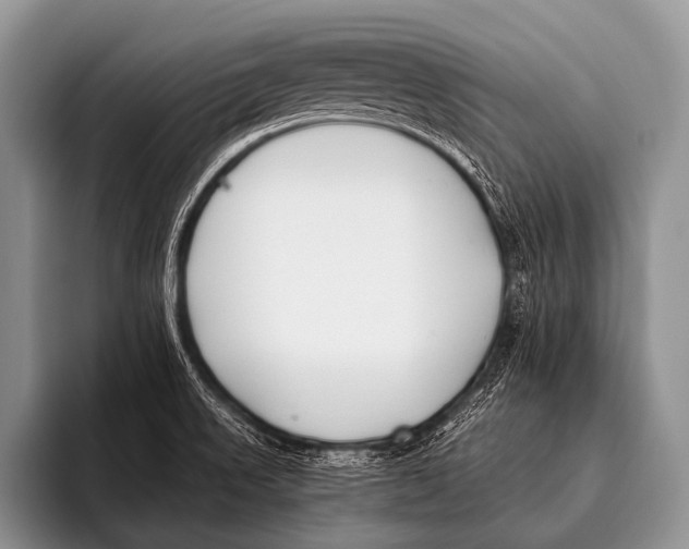X0000096181523200802081449